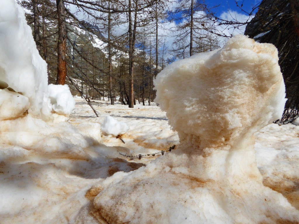 beaucoup de sable saharien dans le coin, ça donne de belles couleurs