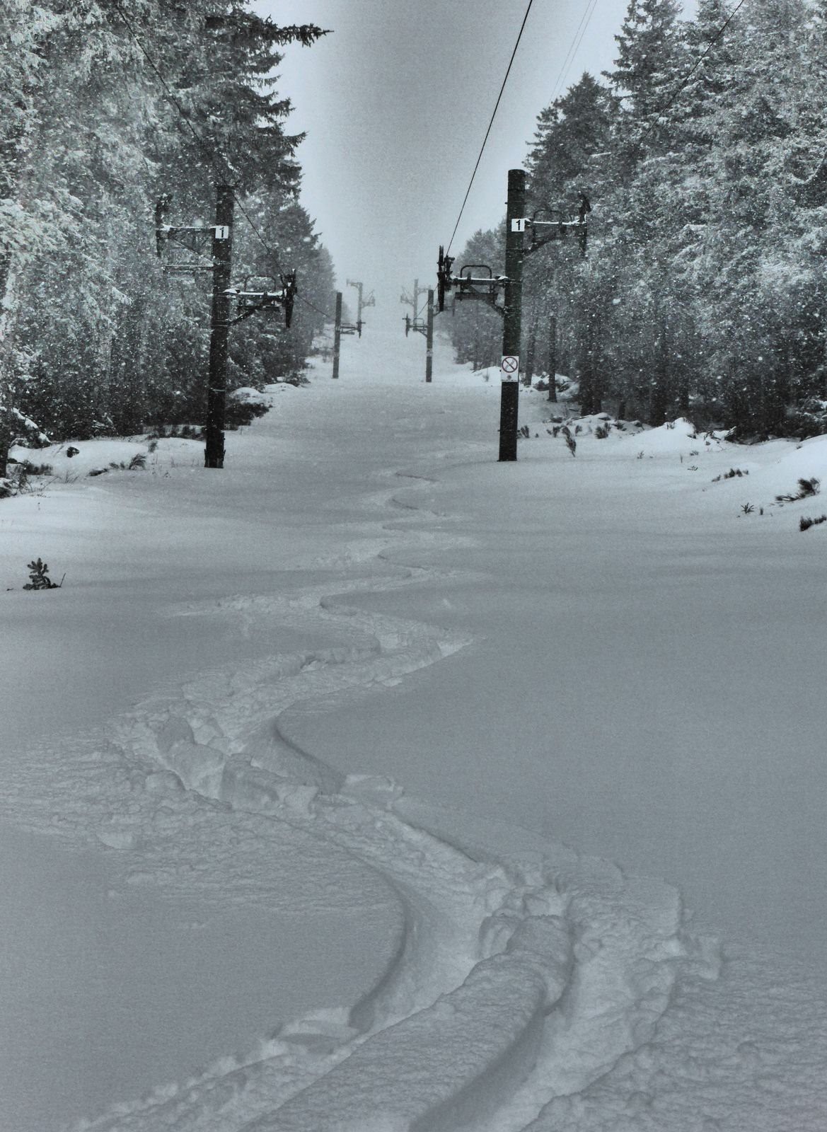 #5 Des conditions exceptionnelles Des conditions exceptionnelles