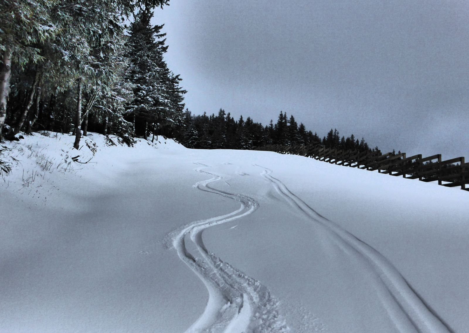 #8 Le versant sud protégé du vent Le versant sud protégé du vent
