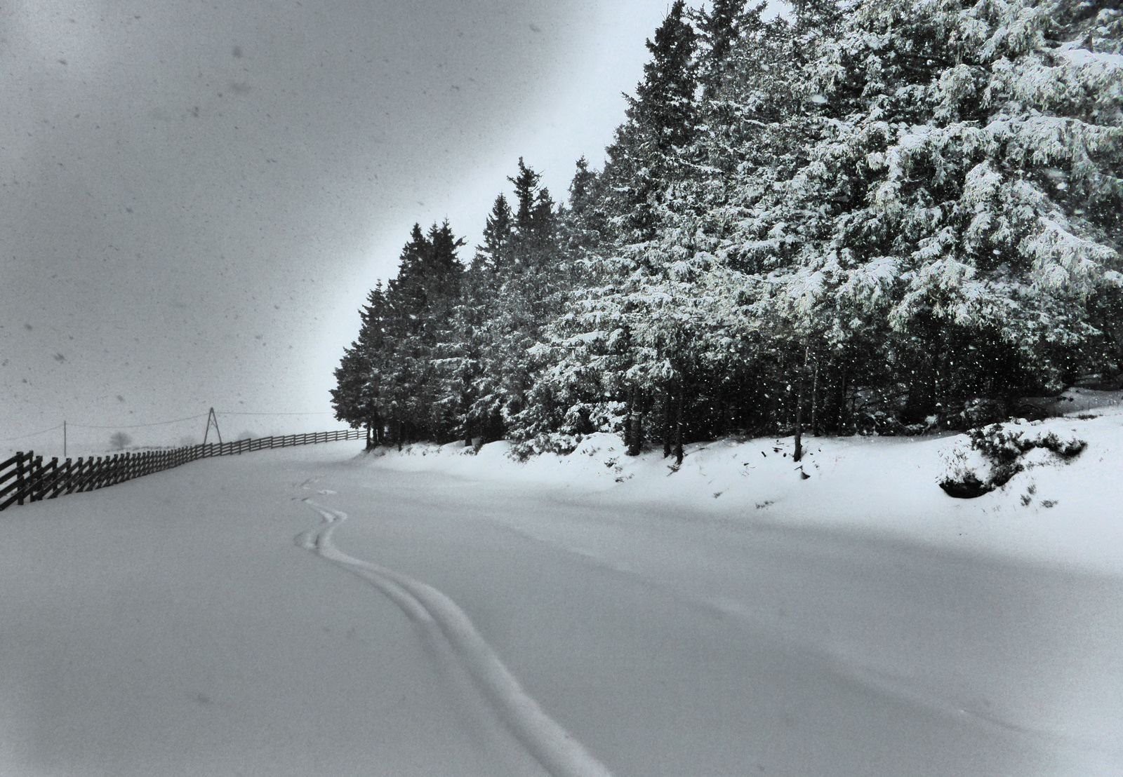 #6 Traces à durée limitée Traces à durée limitée