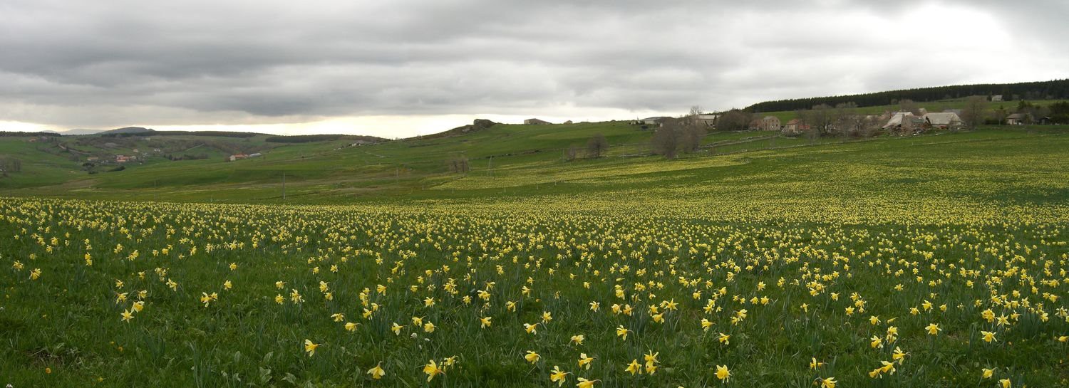 #1 48 heures avant la neige 48 heures avant la neige