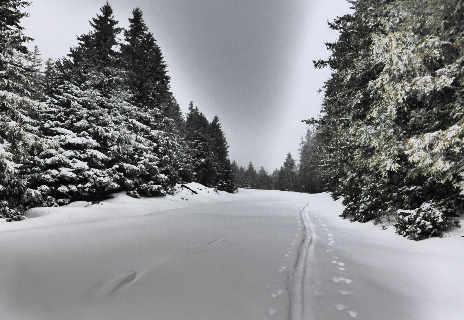 #7 La trace de montée La trace de montée