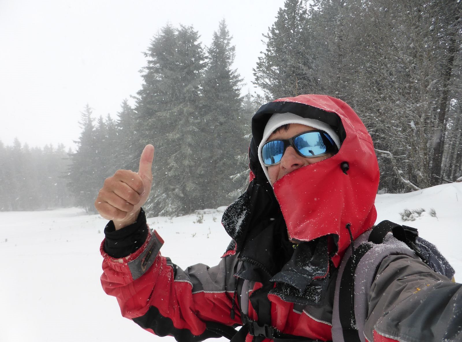 #4 Sapé comme jamais...un 1er mai Sapé comme jamais...un 1er mai