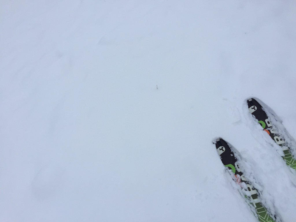 #3 Merci Ste Trab pour ce beau cadeau hivernal Merci Ste Trab pour ce beau cadeau hivernal