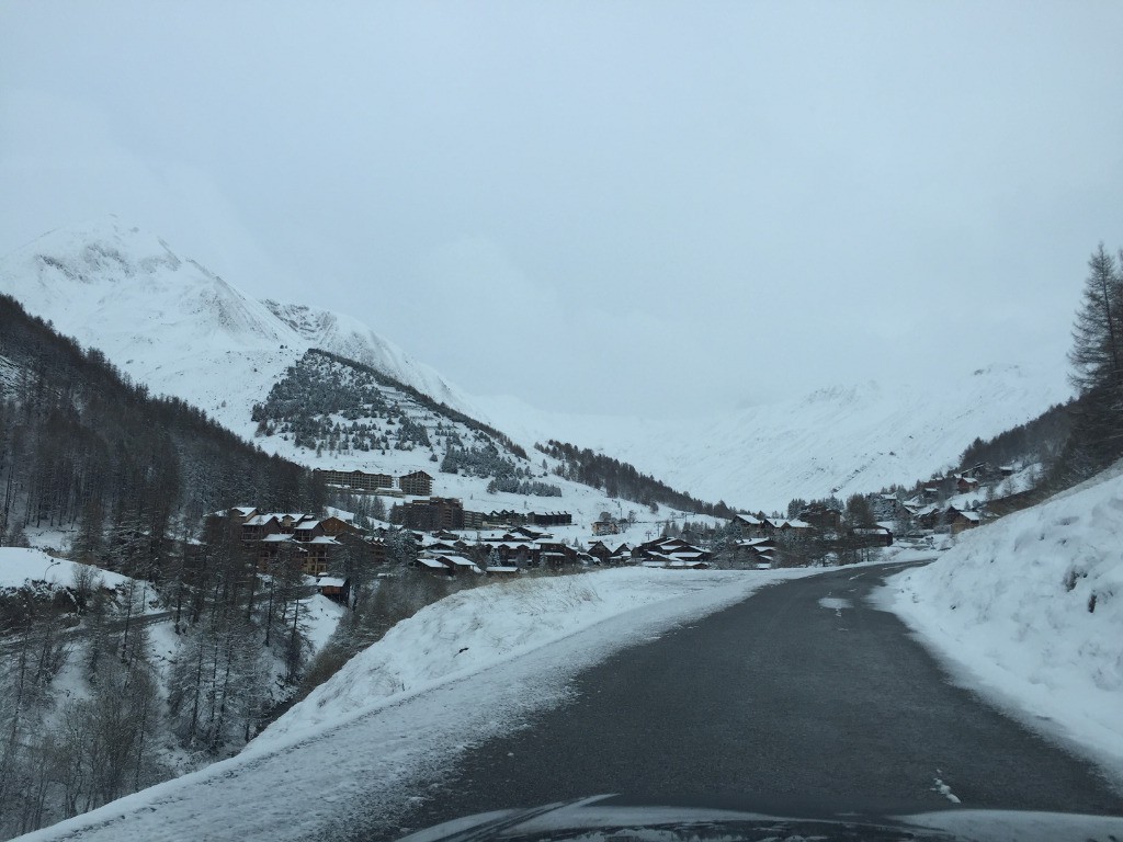 La foux en tenue hivernale