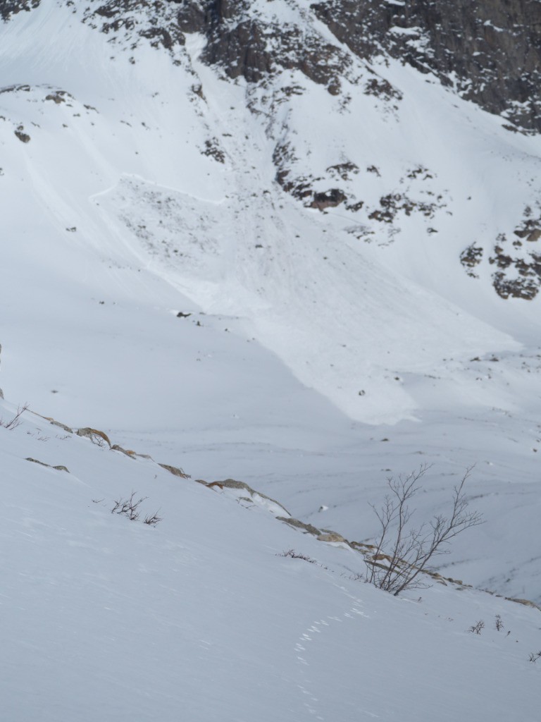 #9 La sortie du couloir ravagée 1 semaine après notre passage La sortie du couloir ravagée 1 semaine après notre passage