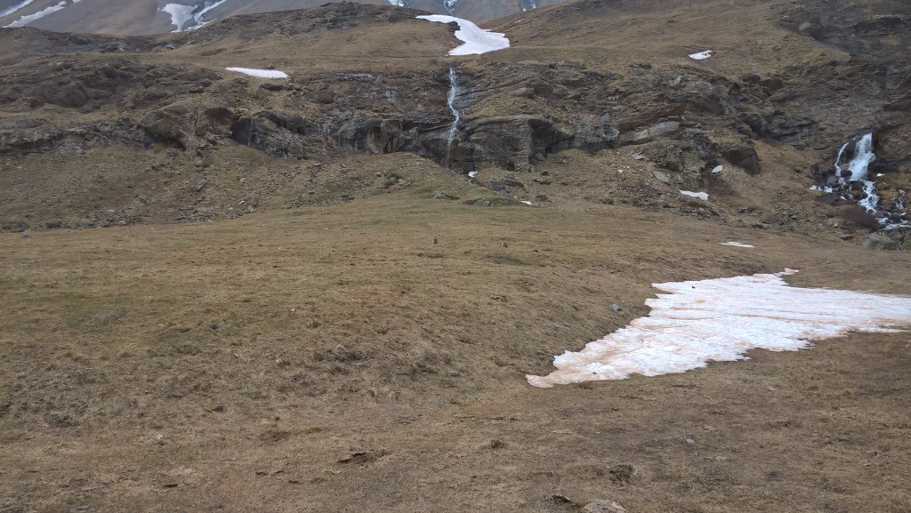 #132 J5 : Duel de marmottes. J5 : Duel de marmottes.