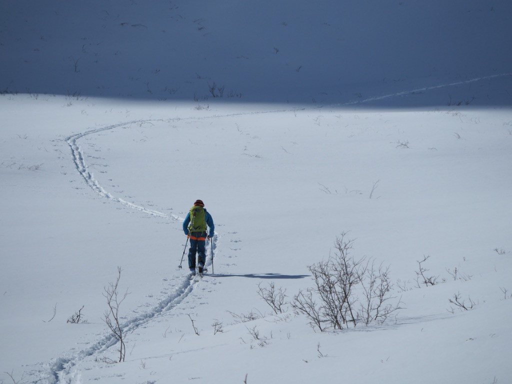 #1 Juste avant le frigo Juste avant le frigo