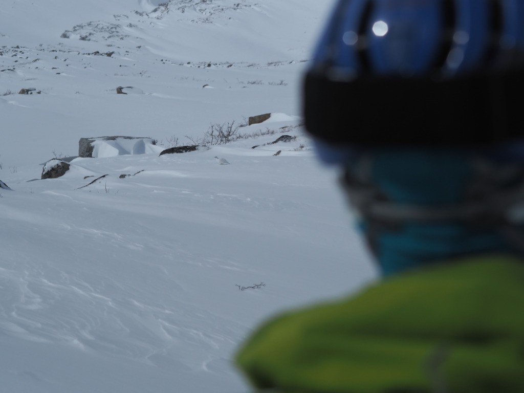 #2 François devant une poule François devant une poule