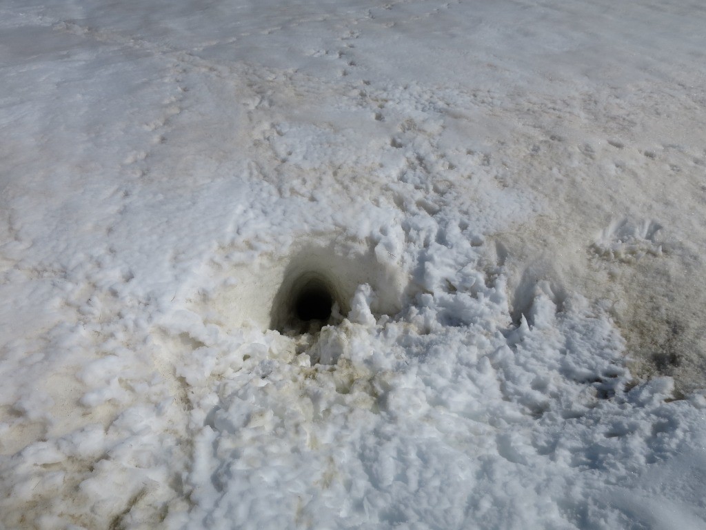 #11 Le trou de la marmotte avec laquelle Séb a failli faire un accident à skis Le trou de la marmotte avec laquelle Séb a failli faire un accident à skis