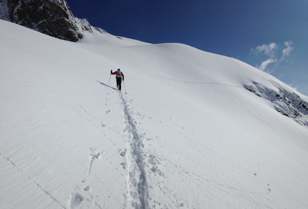 #4 A la trace A la trace