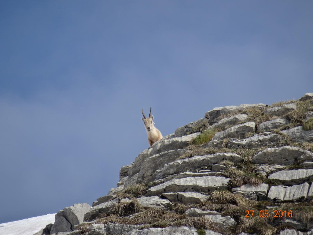 #3 on m on m'observe ...