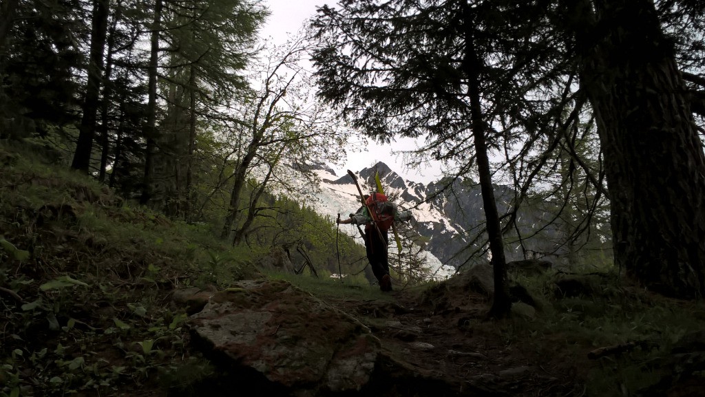 #1 Montée depuis le tunnel Montée depuis le tunnel