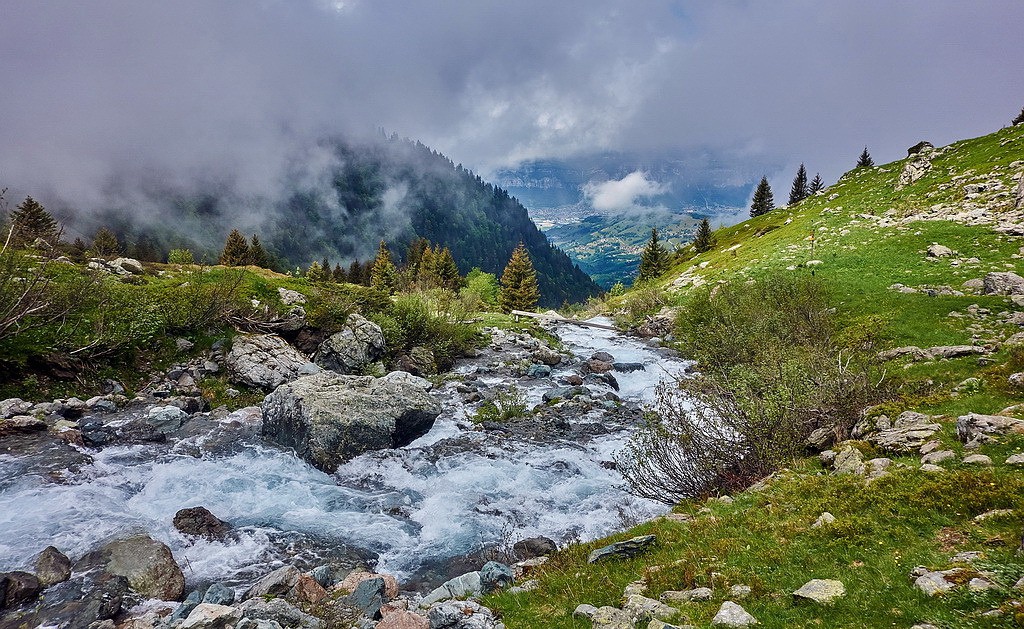 #30 Nature vivifiante... Nature vivifiante...