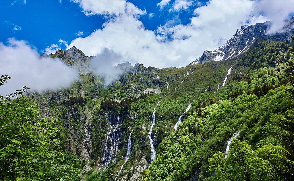 #31 Retour en forêt équatoriale... Retour en forêt équatoriale...