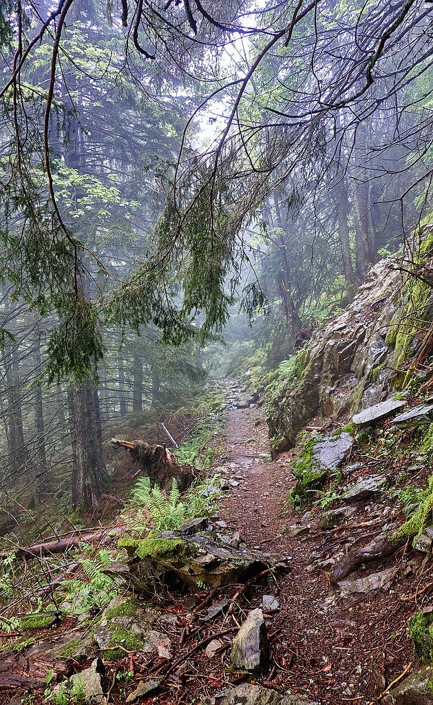 #1 Ambiance tropicale à l Ambiance tropicale à l'approche...