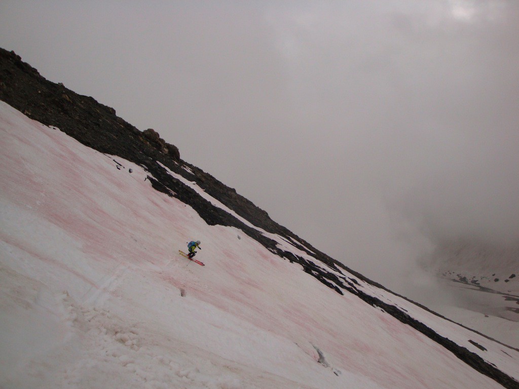 #14 Neige violette en face Sud Neige violette en face Sud