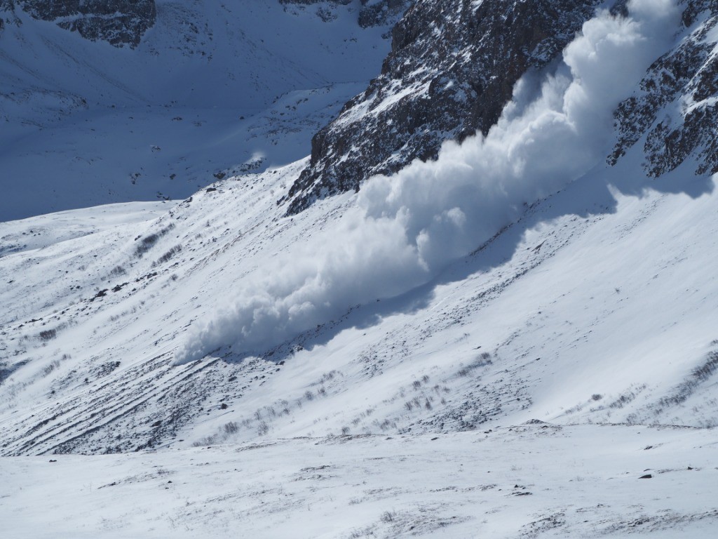 #3 The big monster qui dévale notre couloir Spartacus The big monster qui dévale notre couloir Spartacus