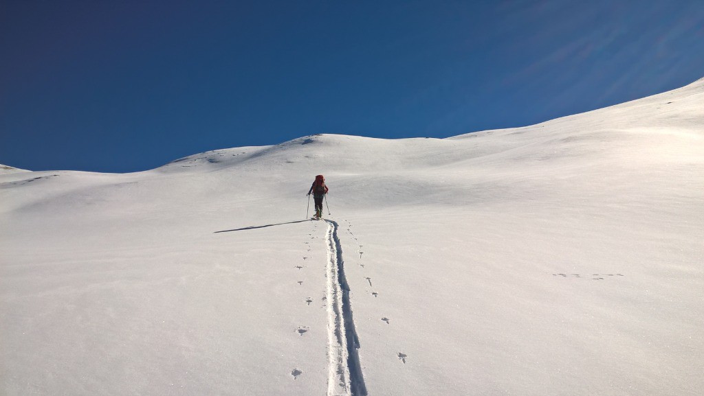 #23 J2 : Janvier ou Novembre, il faut choisir ! J2 : Janvier ou Novembre, il faut choisir !