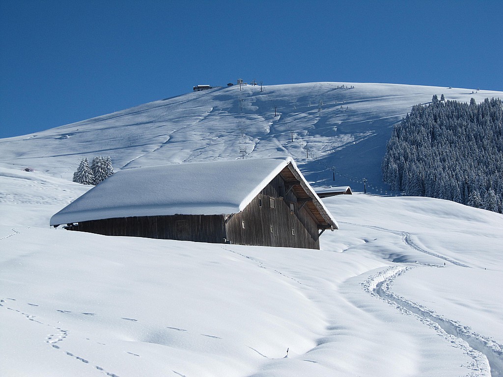 Le sommet en vue.