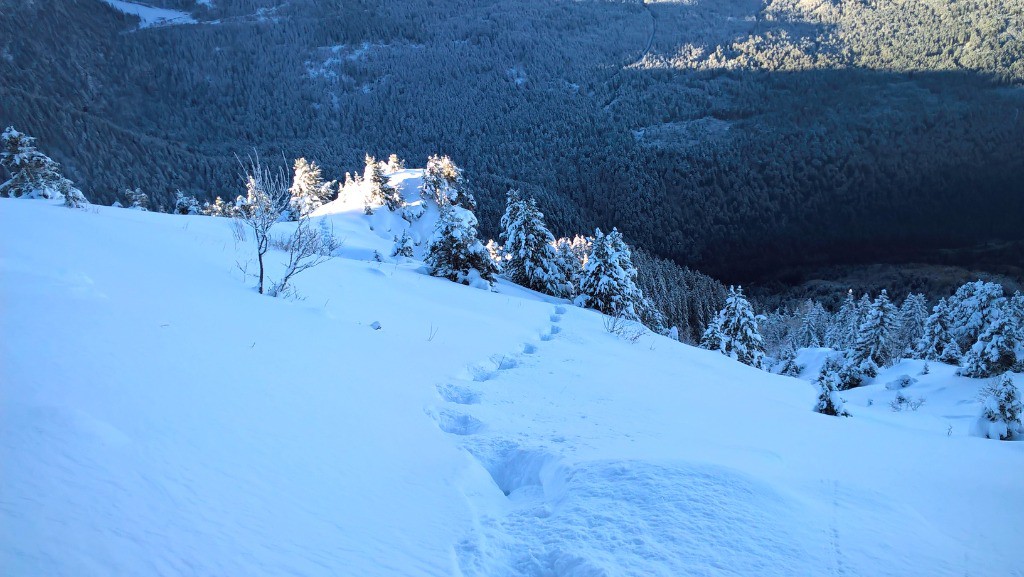 #6 Les Chamois se sont amusés ! Les Chamois se sont amusés !