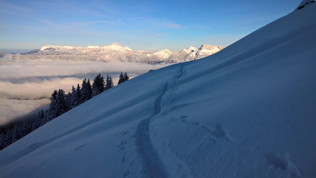 #5 Nous venons de la Chartreuse ? Nous venons de la Chartreuse ?