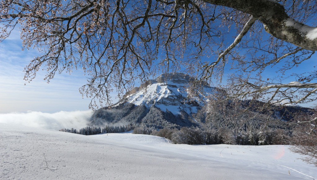 conditions à Chamechaude (ah zut, c'est pas le bon côté)