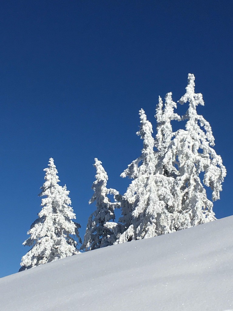 Noël en novembre !