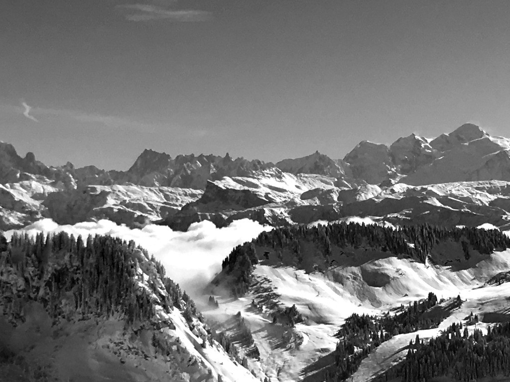 #8 paysage potable paysage potable