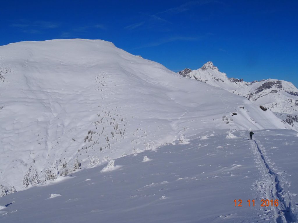 dernière ligne droite