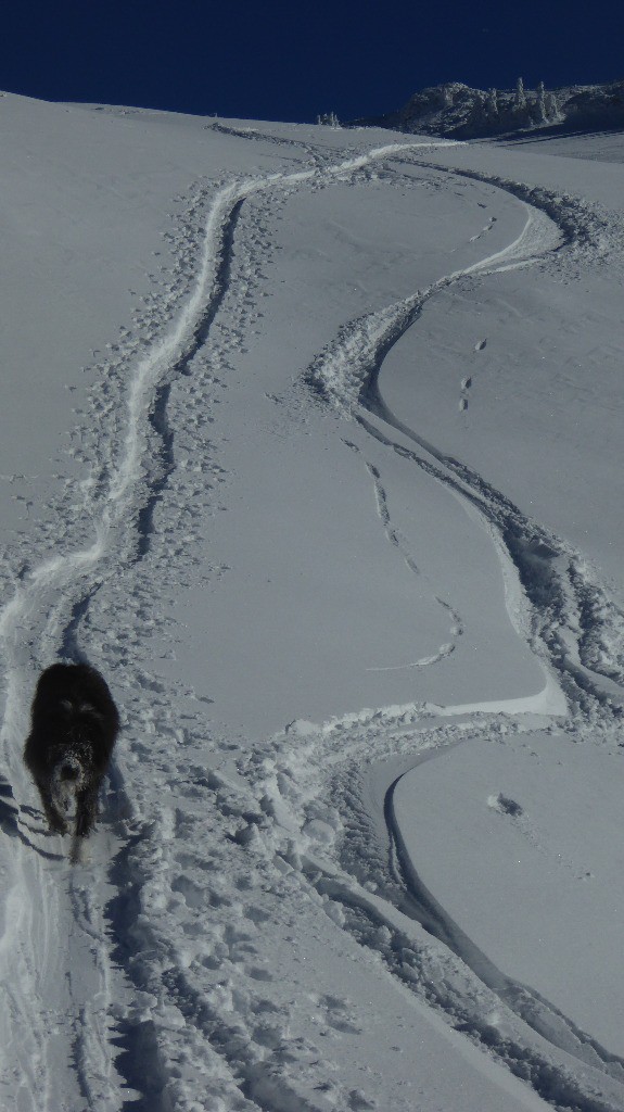 #8 une trace une trace