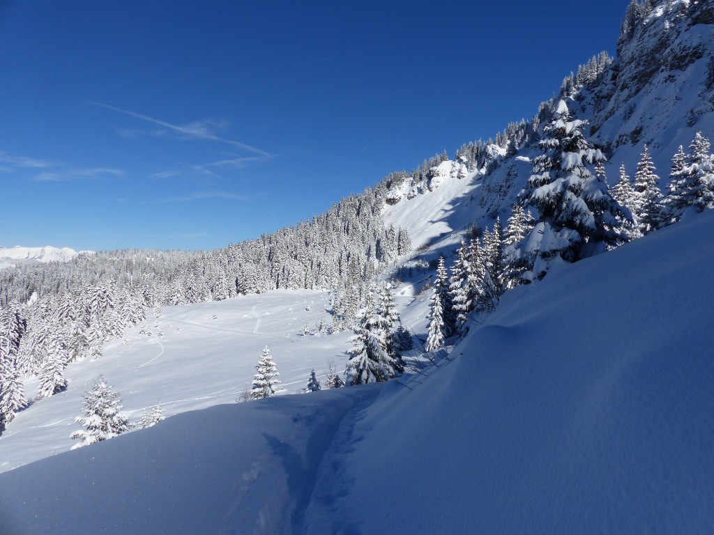 Plateau sous les barres de la Roche Parstire