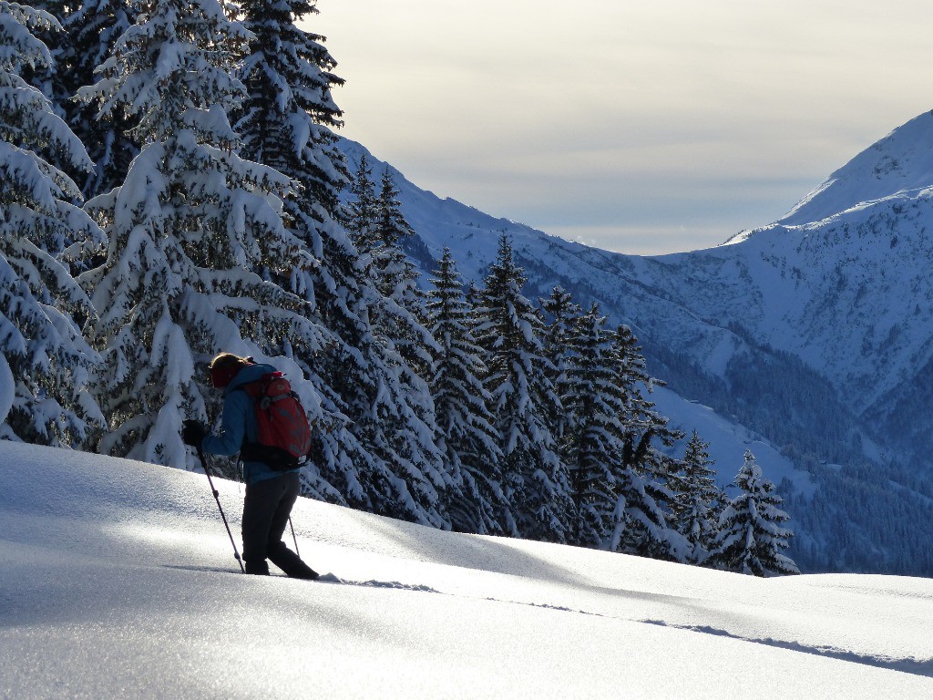 Depuis le col du Pré