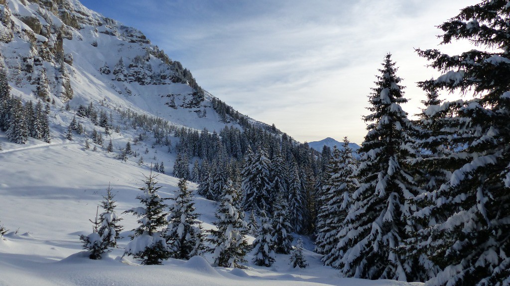 Plateau sous les barres de la Roche Parstire