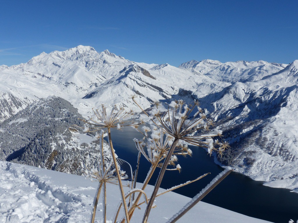 Mont-Blanc et Roselend depuis le sommet