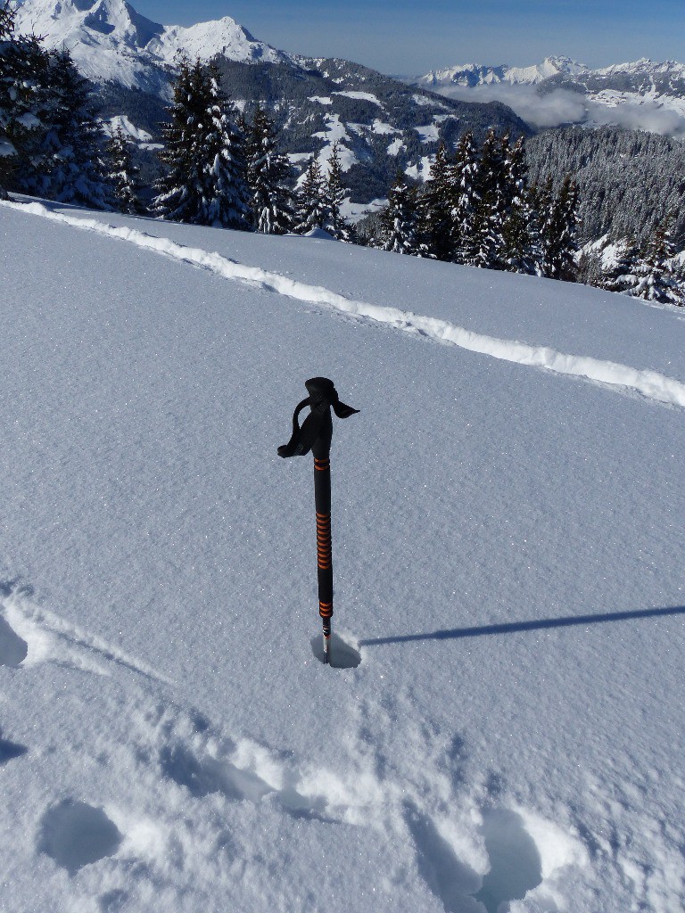 #4 80cm à 1800m au dessus du col du Pré 80cm à 1800m au dessus du col du Pré