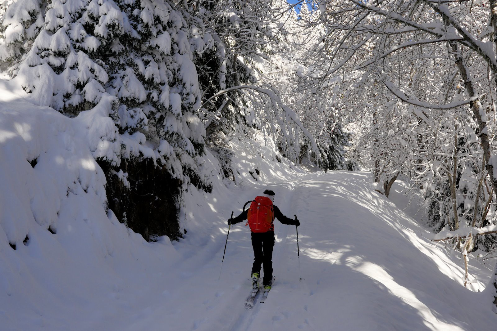 Ambiance hivernale.