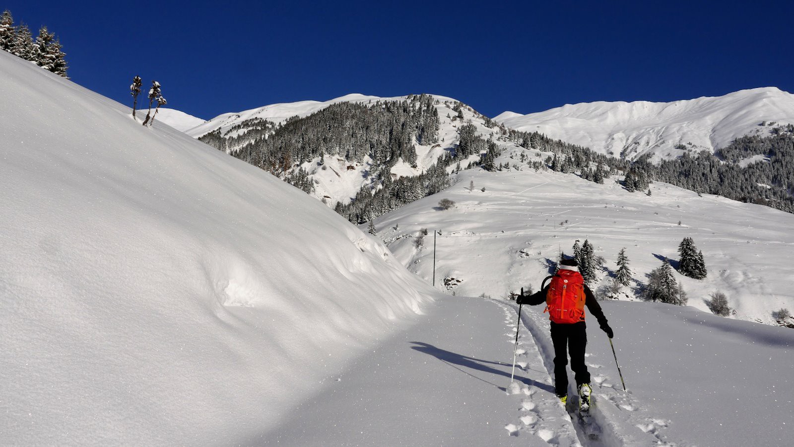 Dans la trace, on peut contempler à loisir le paysage.