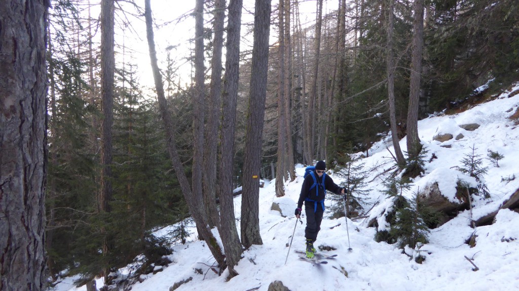 #3 Pas beaucoup de neige Pas beaucoup de neige