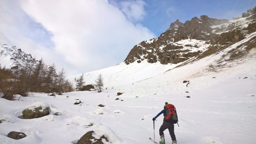 On sort de la forêt