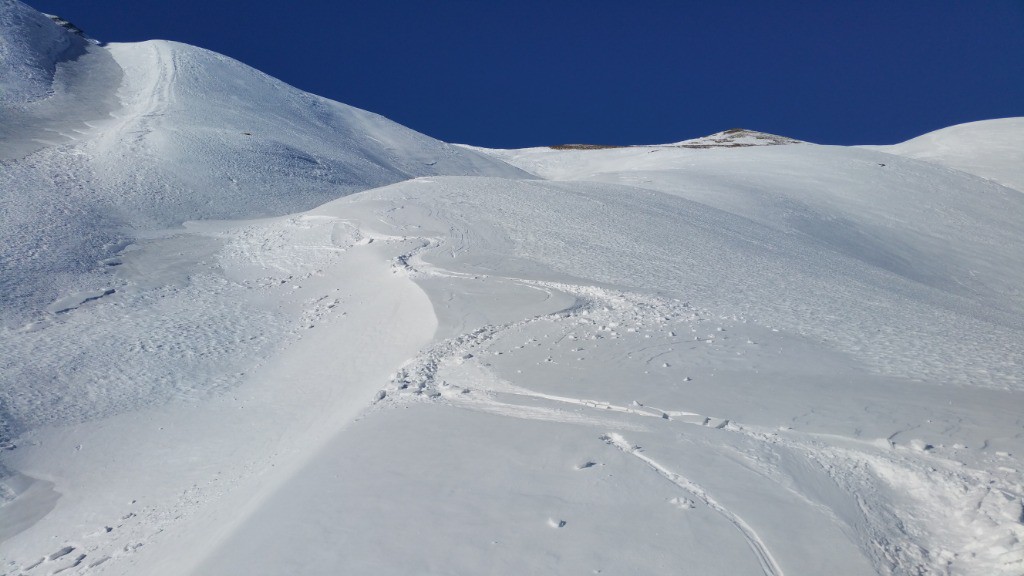 #4 Même de la poudre !! Même de la poudre !!