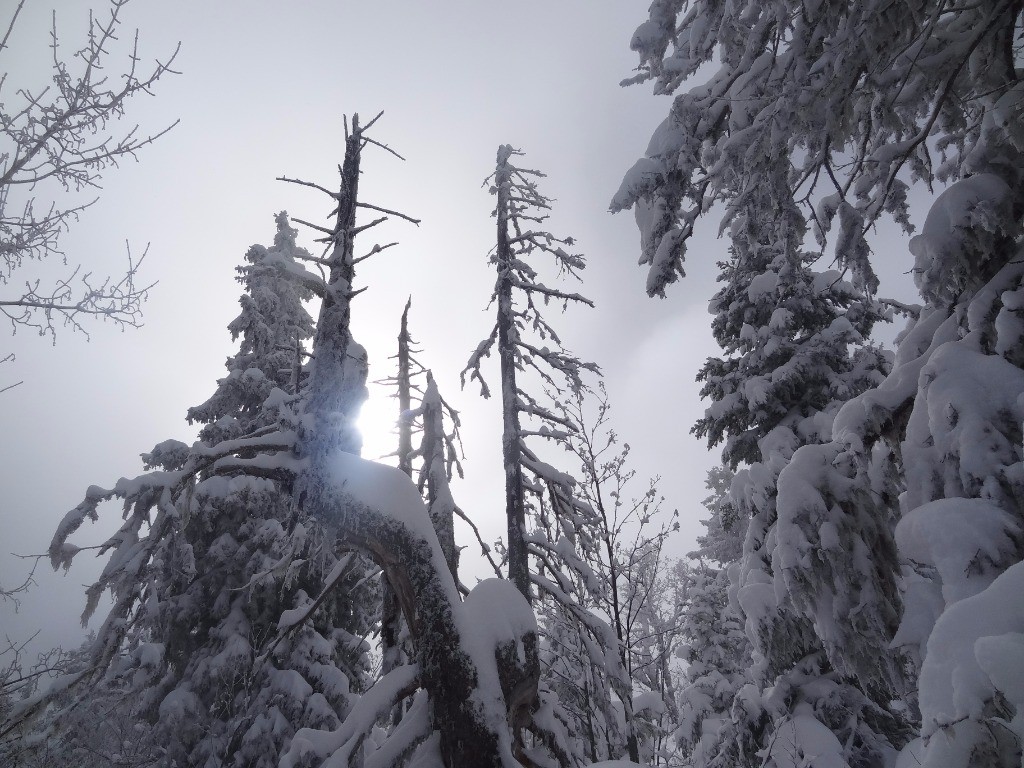 #8 çà faisait longtemps... çà faisait longtemps...