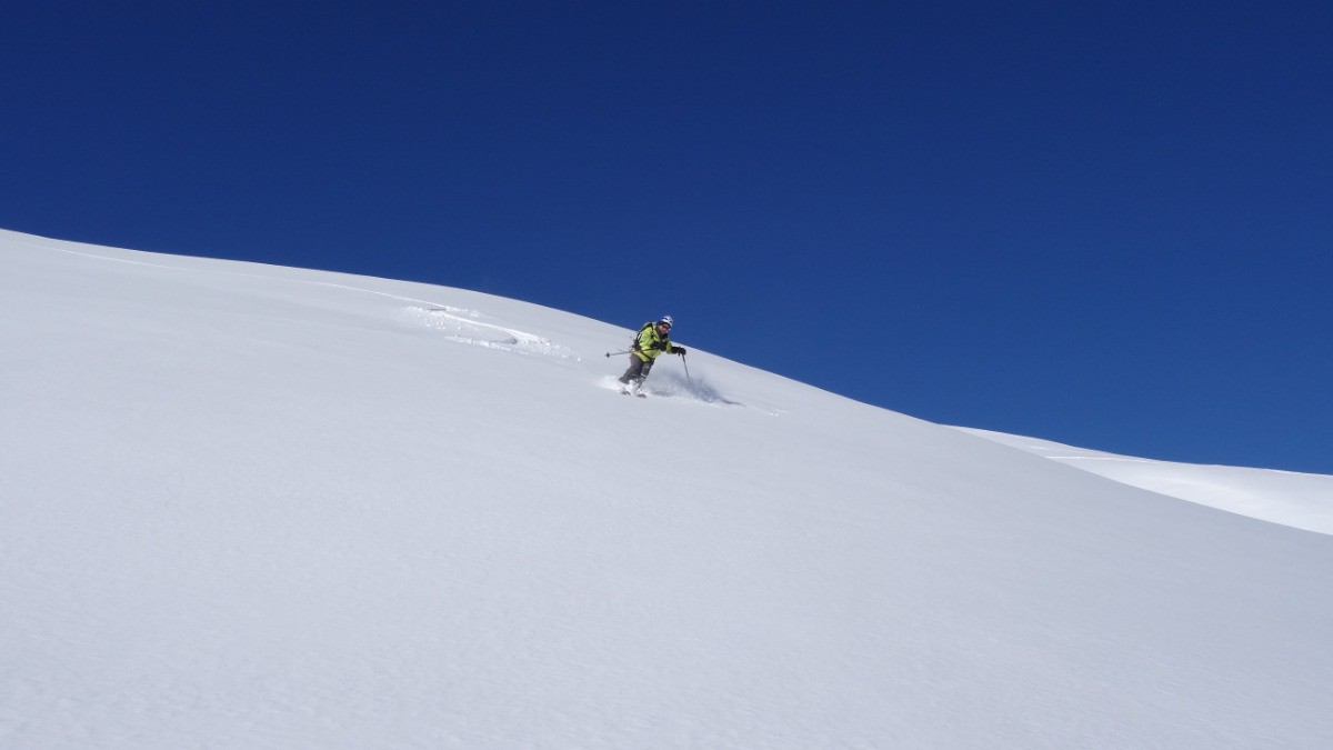 #8 viergitude viergitude