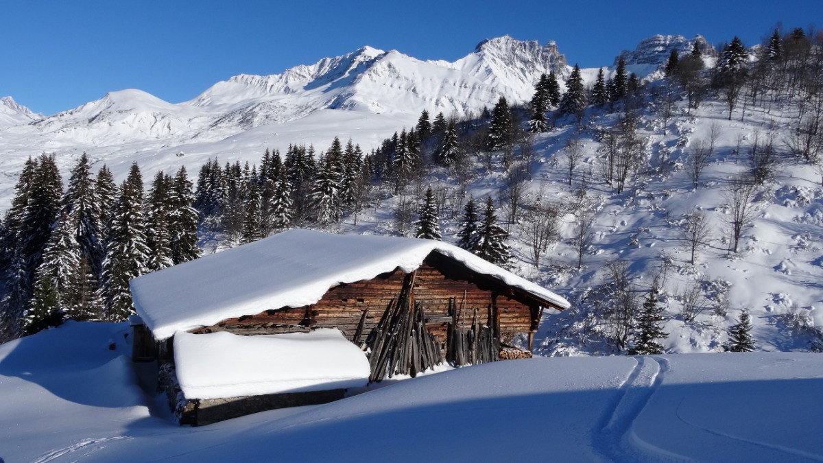 #18 habitat local habitat local