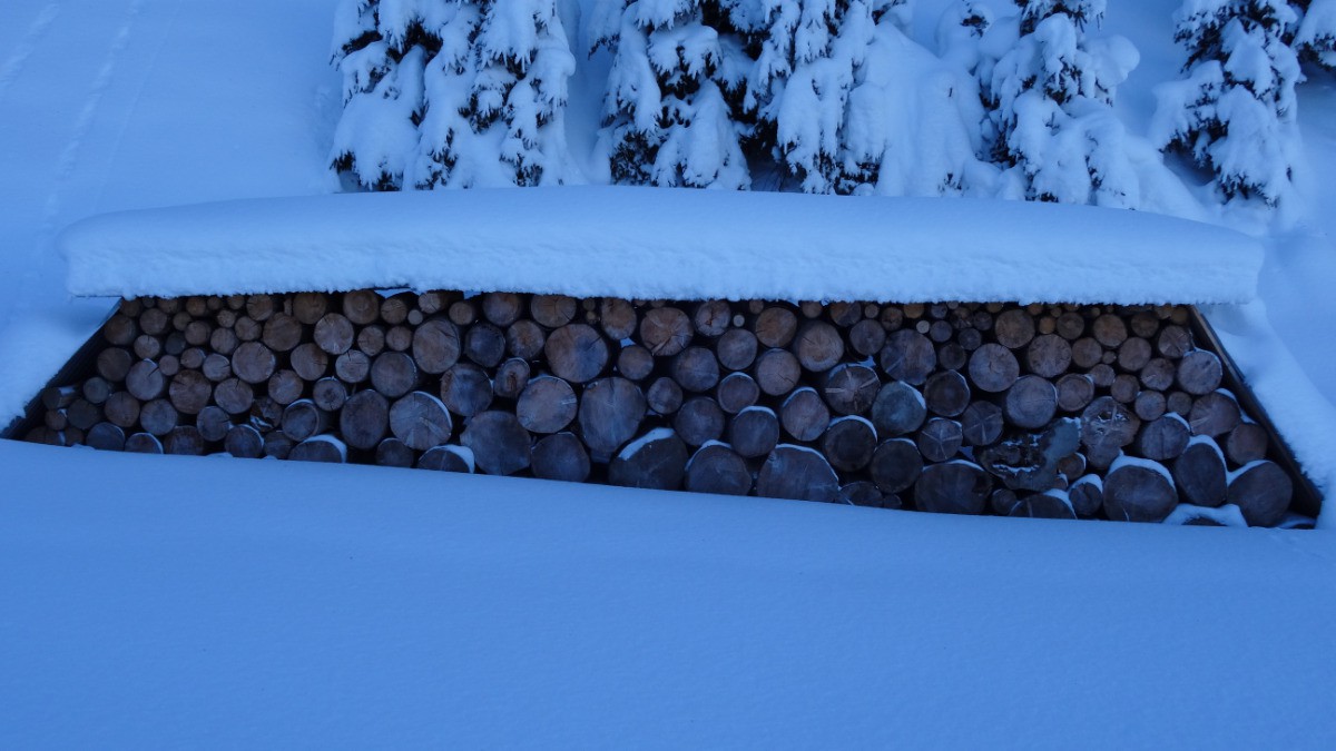 #2 Trop fort en Tetris Trop fort en Tetris