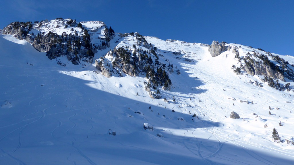 #7 Vu du bas Vu du bas