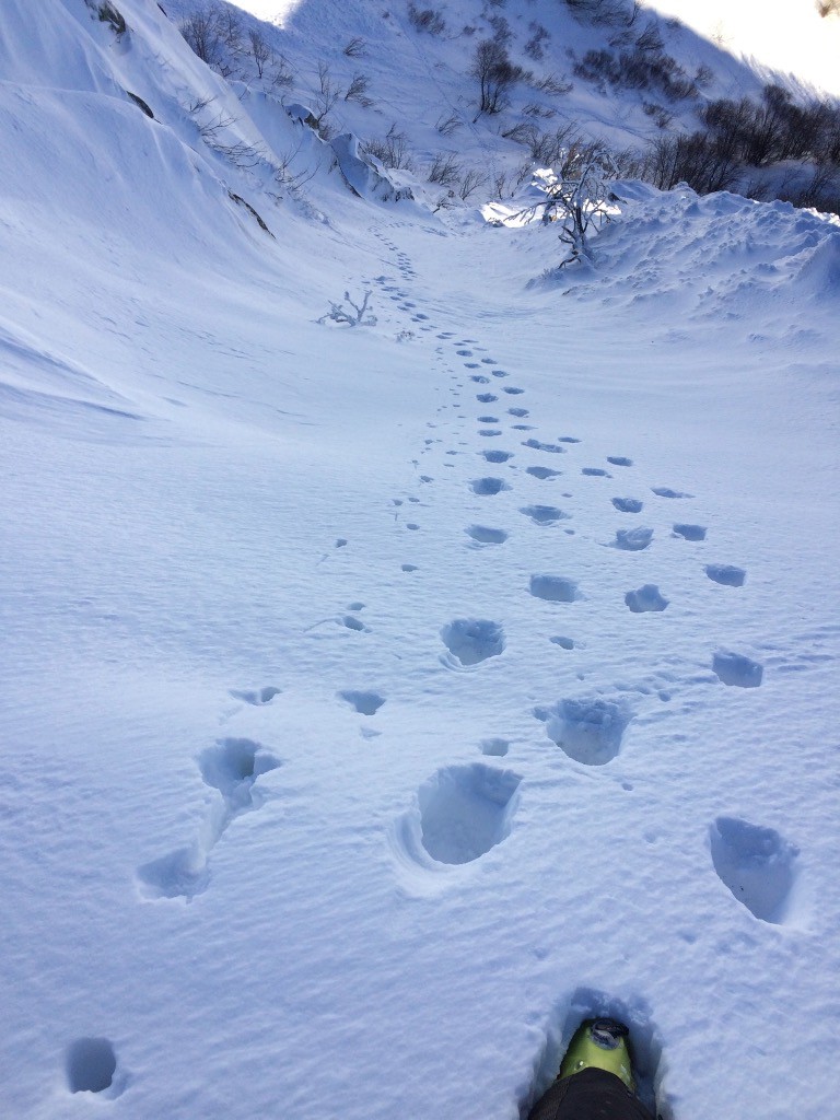 #3 Petite montée alpine. Petite montée alpine.