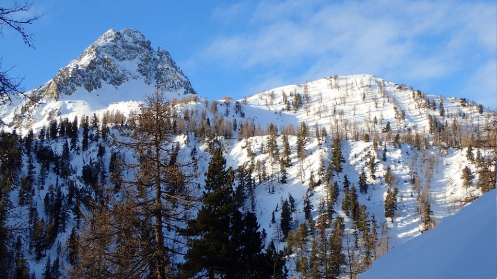 #2 Cayre Archas Cayre Archas