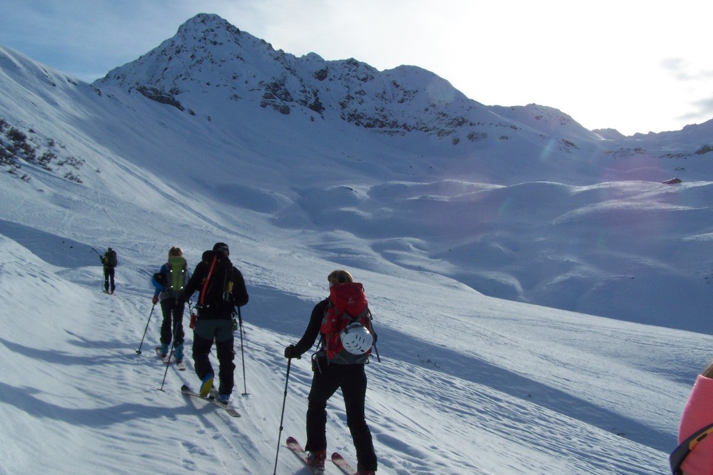 Tête de la Cicle