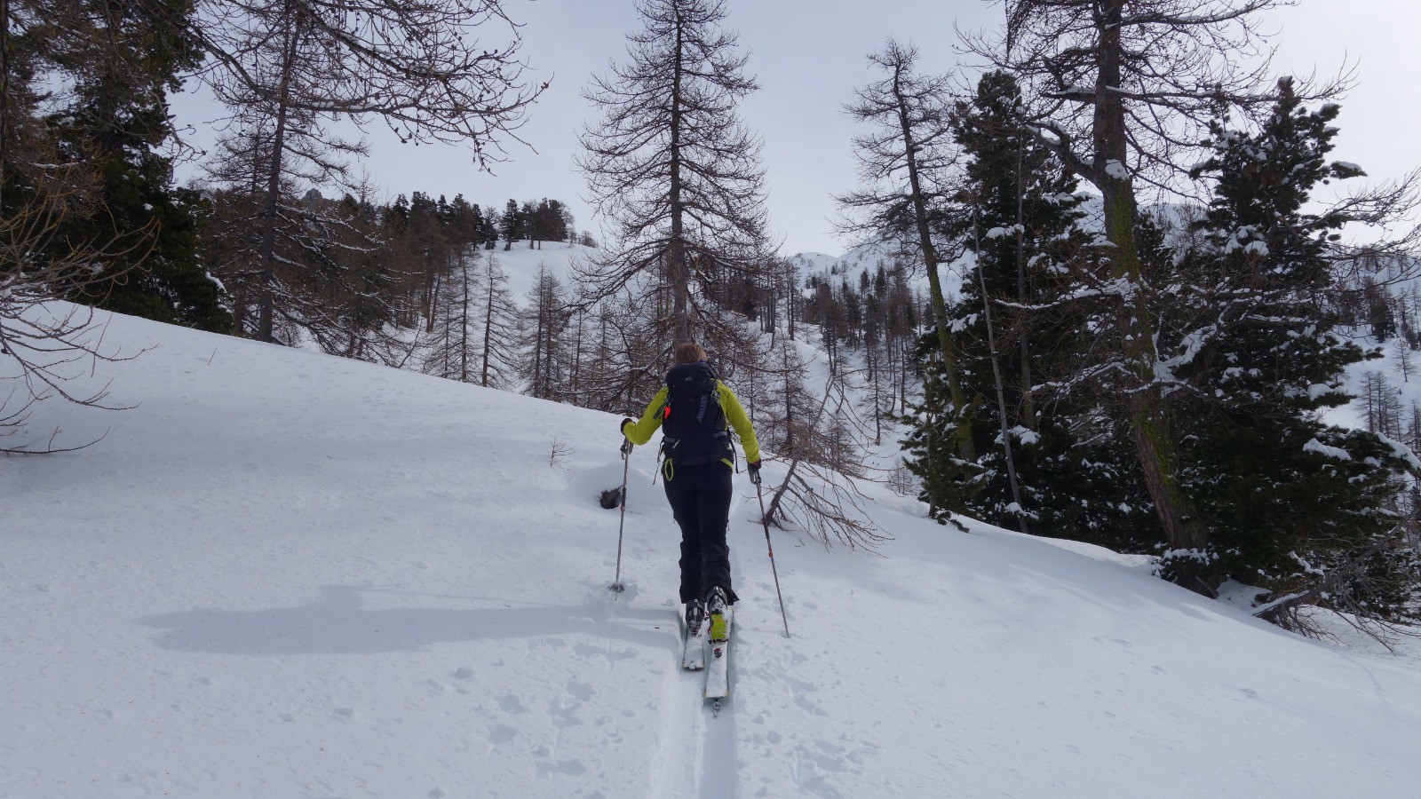 Très bonne trace